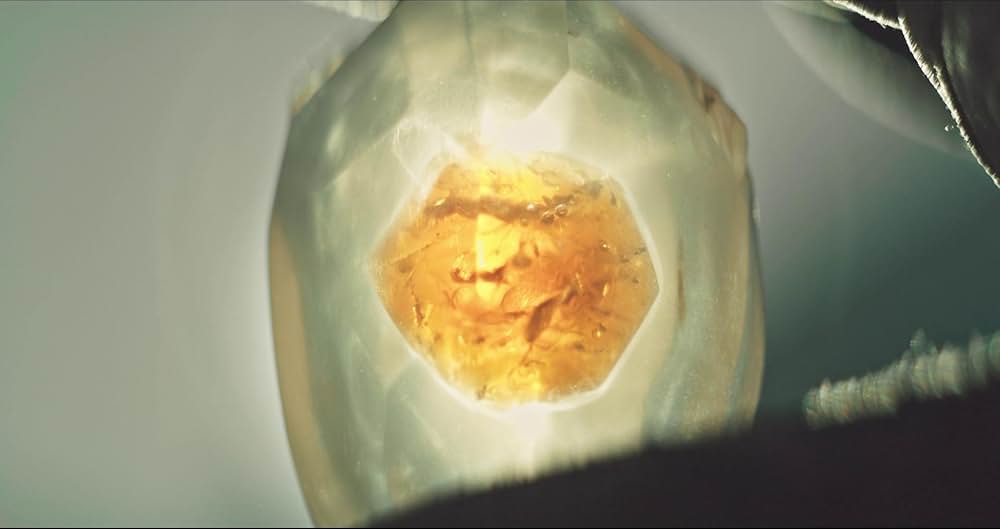 PROSPECT プロスペクトの画像