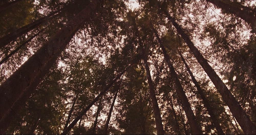 PROSPECT プロスペクトの画像