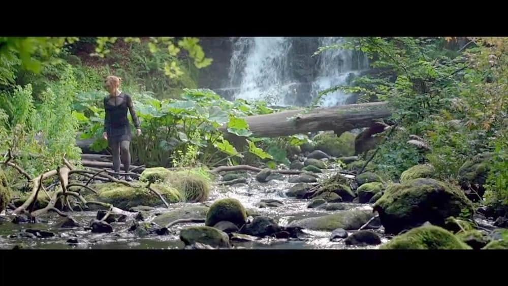 ANIARA アニアーラの画像