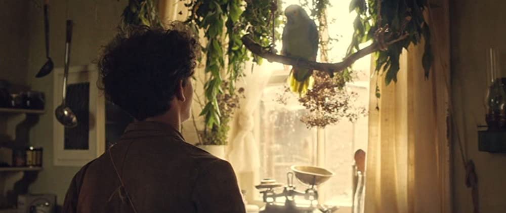 ゾンビの中心で、愛をさけぶの画像