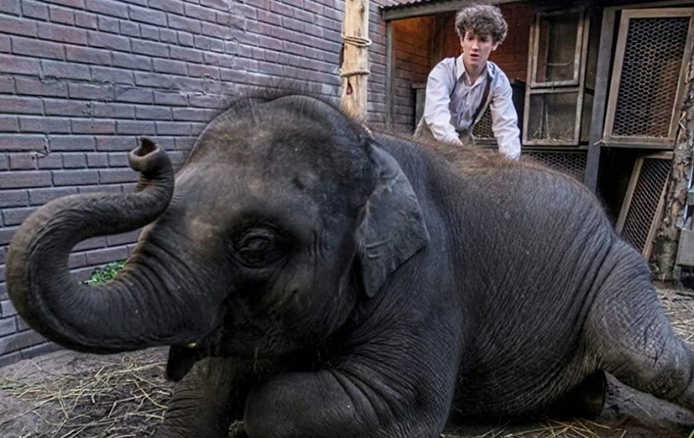 ゾンビの中心で、愛をさけぶの画像