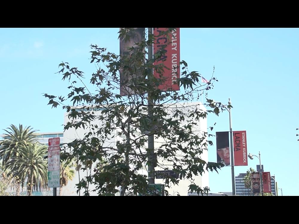 キューブリックに魅せられた男の画像