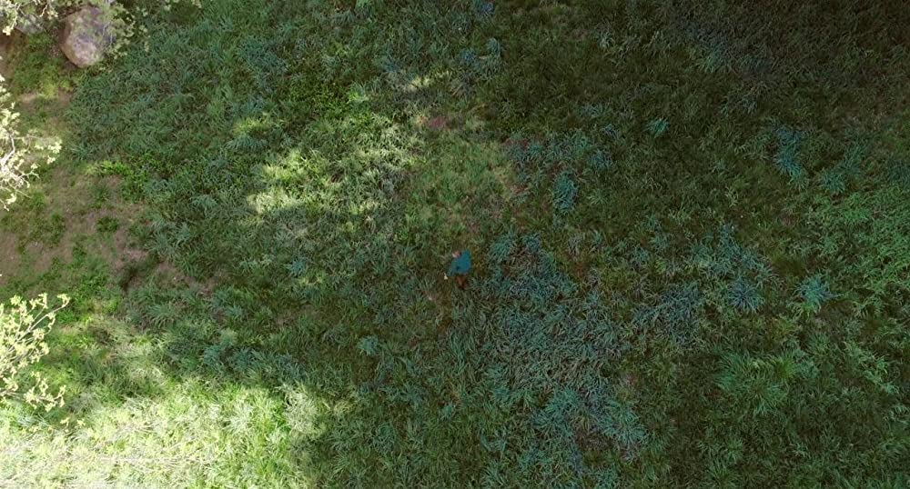 「マスターズ・オブ・ホラー」の画像