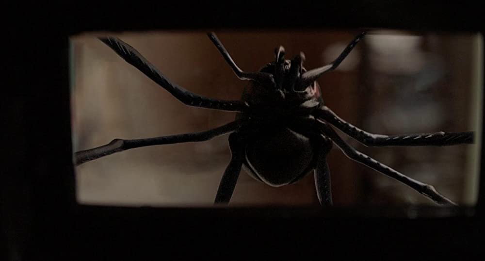 「マスターズ・オブ・ホラー」の画像