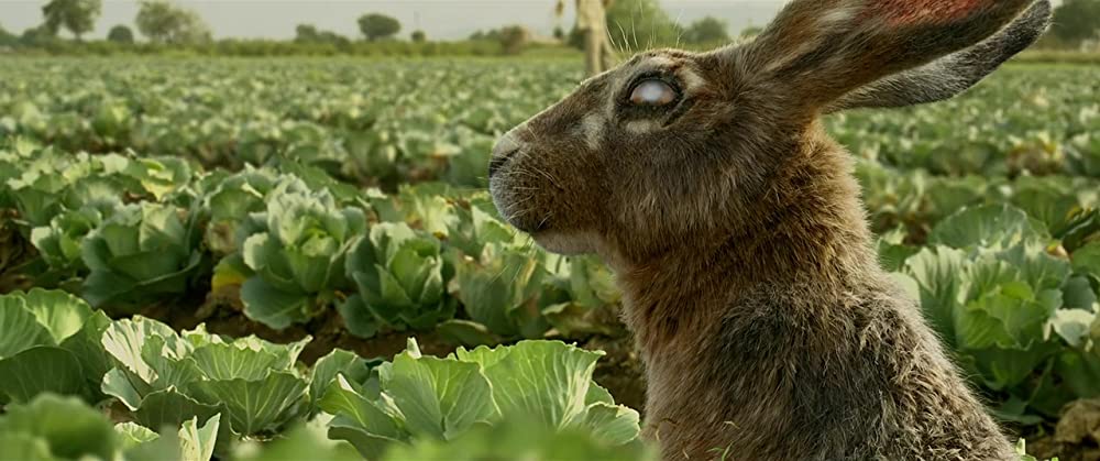 「盲目のメロディ～インド式殺人狂騒曲～」の画像