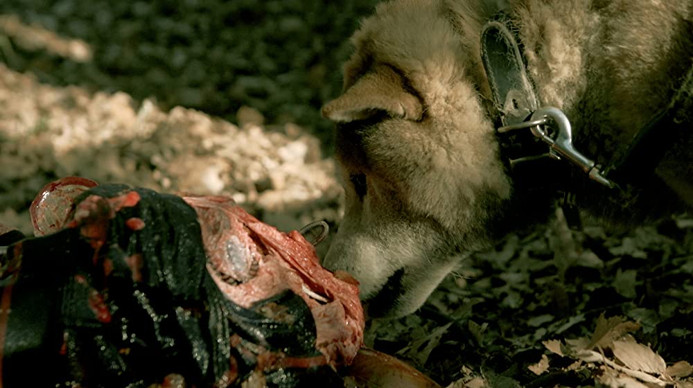 積むさおりの画像