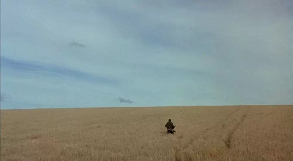 ボクと空と麦畑の画像