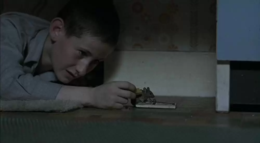 ボクと空と麦畑の画像