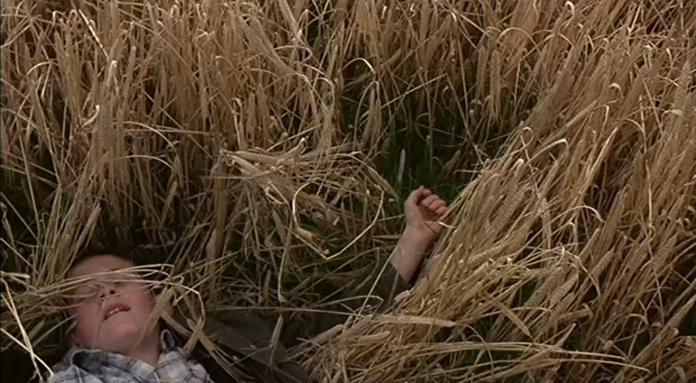 ボクと空と麦畑の画像