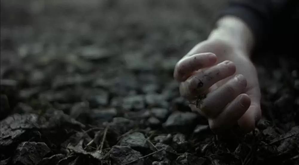 ボクと空と麦畑の画像