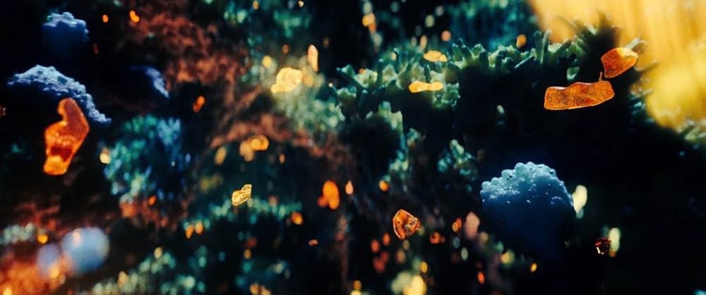 アンカット・ダイヤモンドの画像