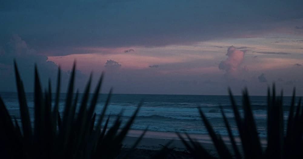 オン・ザ・ロックの画像