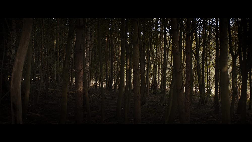 レディ・マクベスの画像