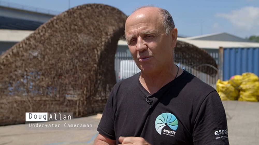 プラスチックの海／プラスチック・オーシャンの画像