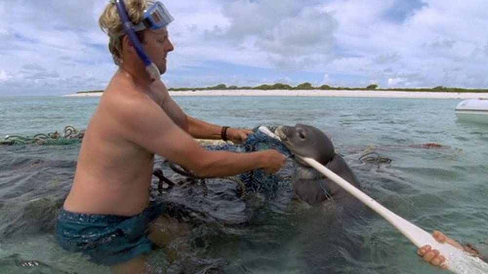 プラスチックの海／プラスチック・オーシャンの画像