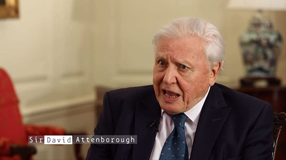 プラスチックの海／プラスチック・オーシャンの画像