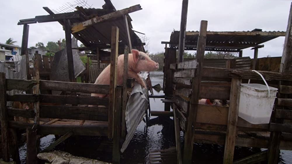 プラスチックの海／プラスチック・オーシャンの画像