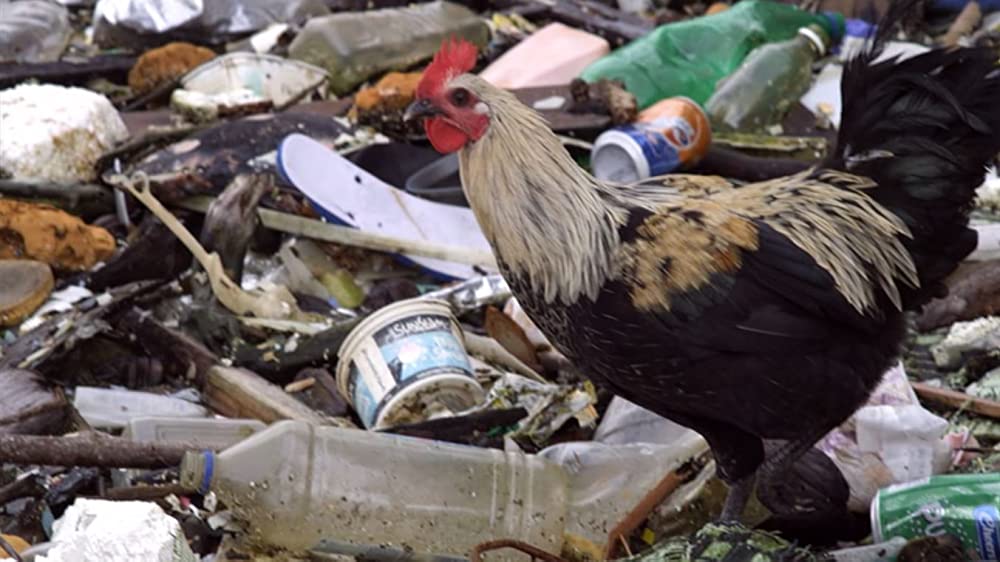 「プラスチックの海／プラスチック・オーシャン」の画像