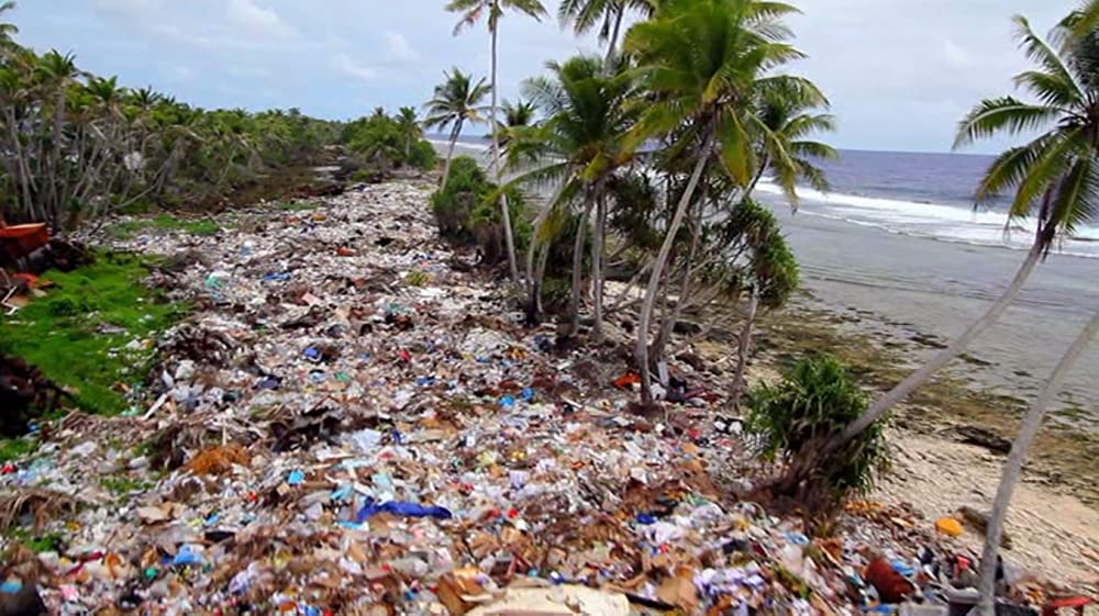 プラスチックの海／プラスチック・オーシャンの画像