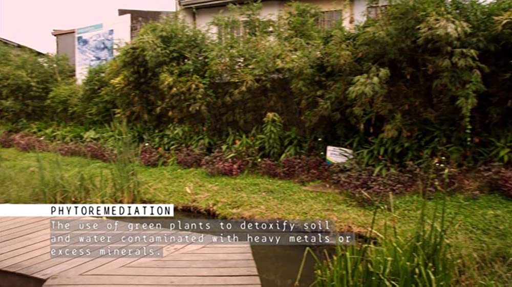 プラスチックの海／プラスチック・オーシャンの画像