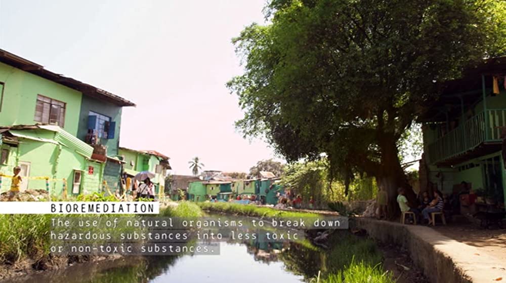 プラスチックの海／プラスチック・オーシャンの画像