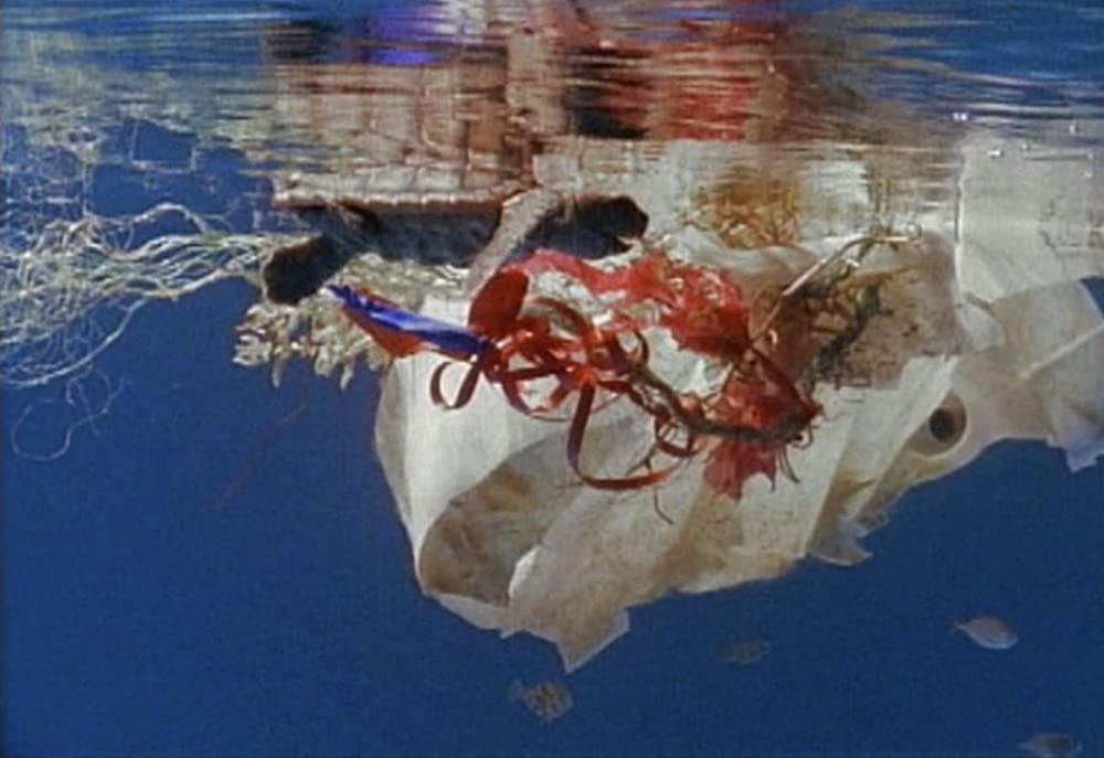 「プラスチックの海／プラスチック・オーシャン」の画像