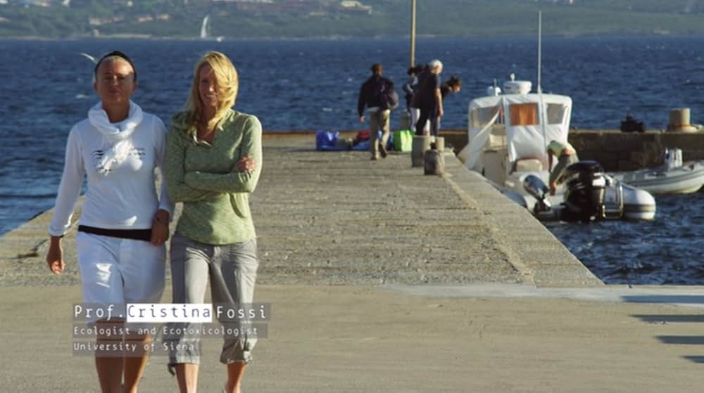 プラスチックの海／プラスチック・オーシャンの画像