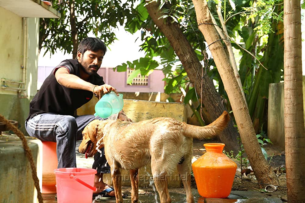 無職の大卒の画像