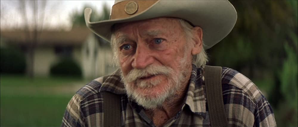 ストレイト・ストーリーの画像