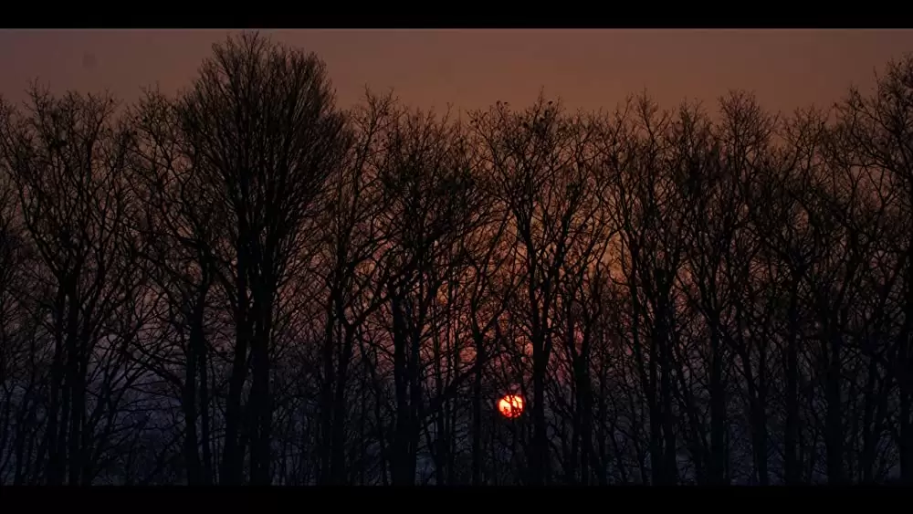 「ポーラー 狙われた暗殺者」の画像