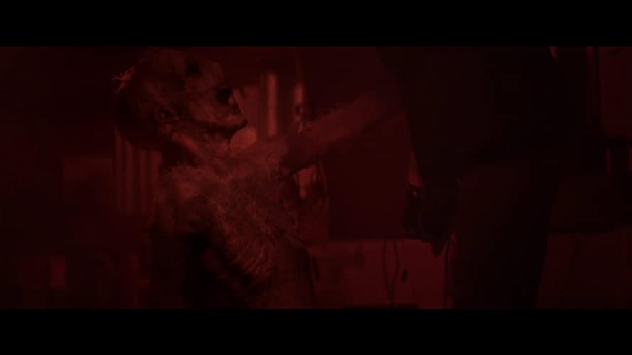 ポラロイドの画像