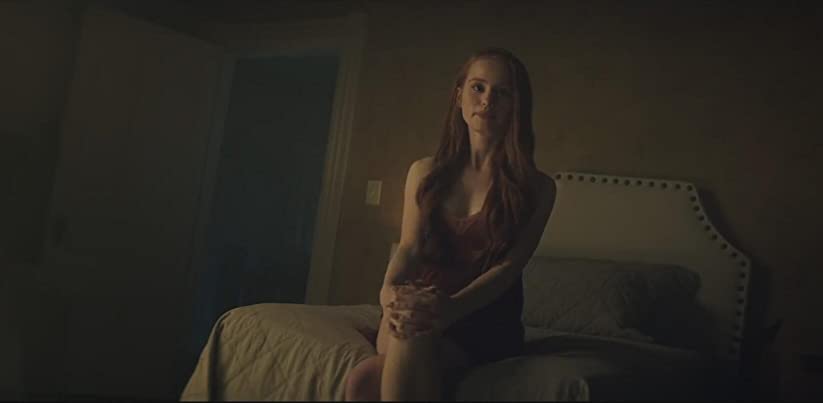 ポラロイドの画像