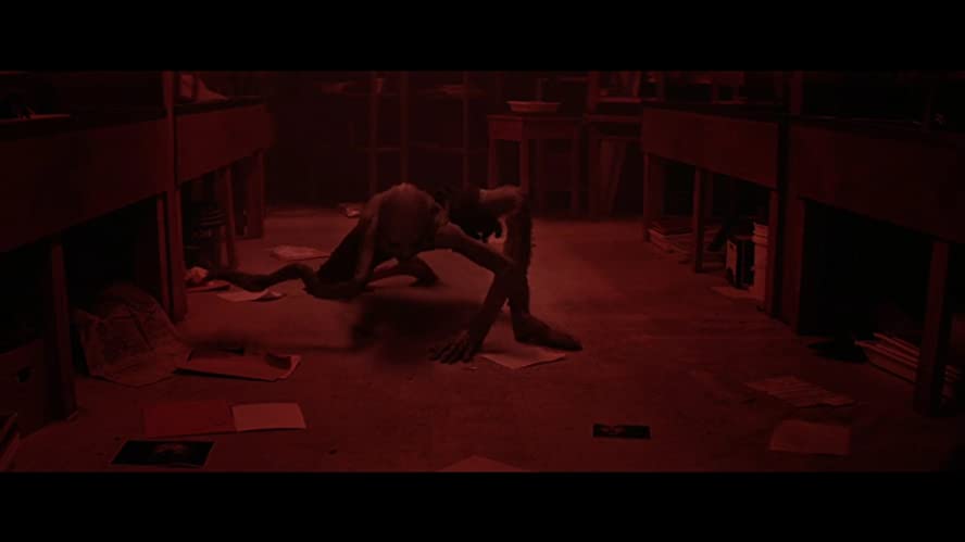 ポラロイドの画像