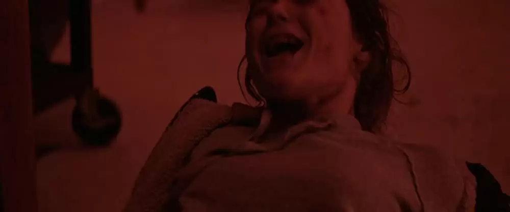 ポラロイドの画像