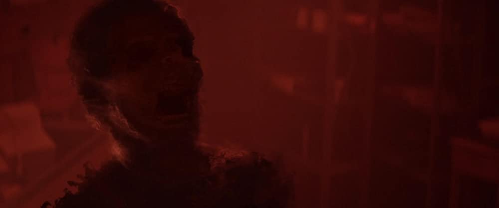 ポラロイドの画像