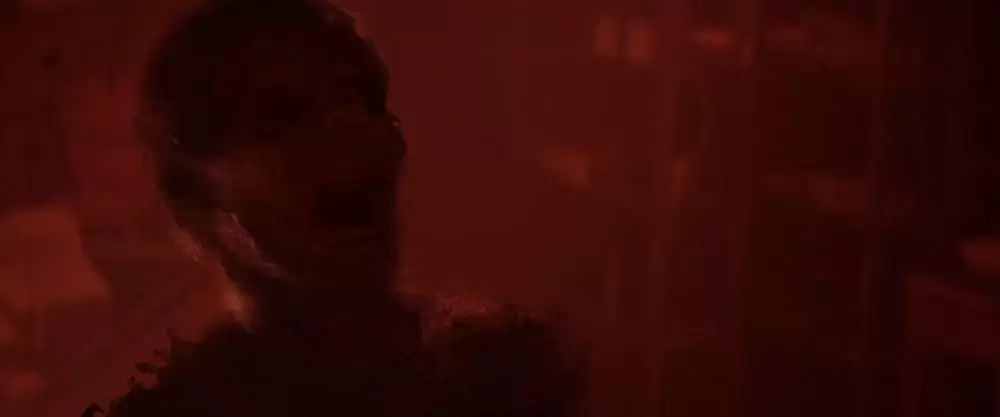 ポラロイドの画像