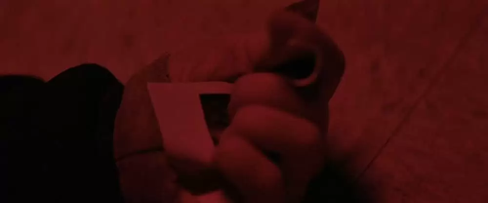 ポラロイドの画像