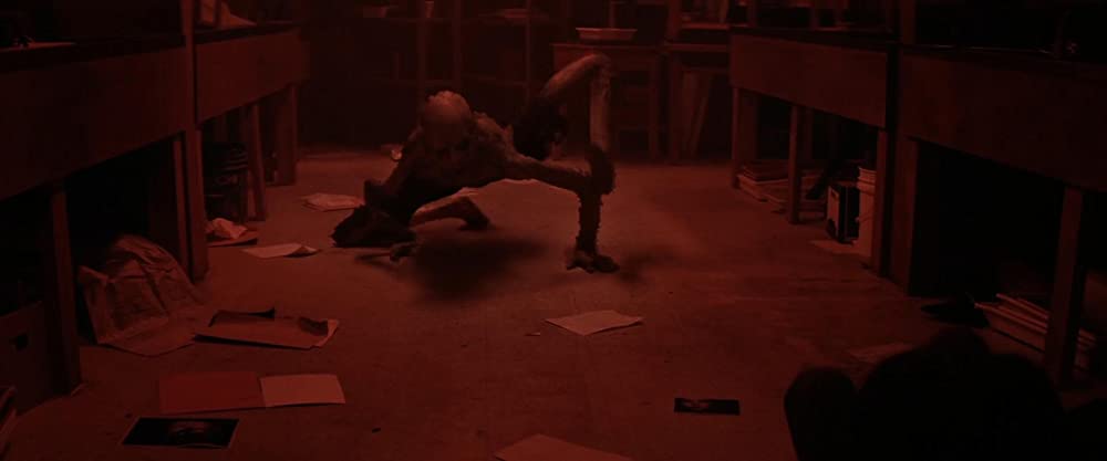 ポラロイドの画像