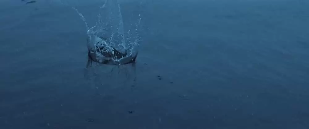 ポラロイドの画像