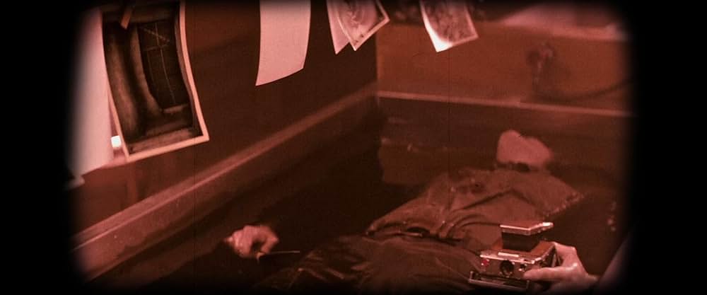 ポラロイドの画像