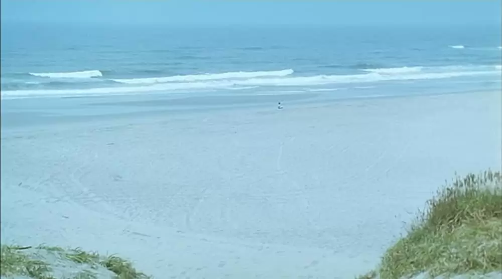 菊次郎の夏の画像