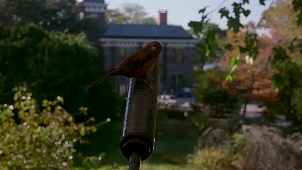 ゴースト・ドッグの画像