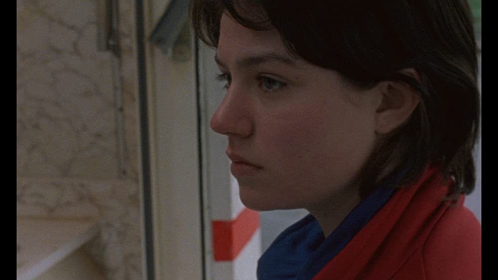 ロゼッタの画像