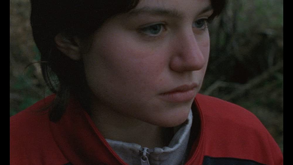 ロゼッタの画像