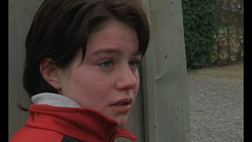 ロゼッタの画像