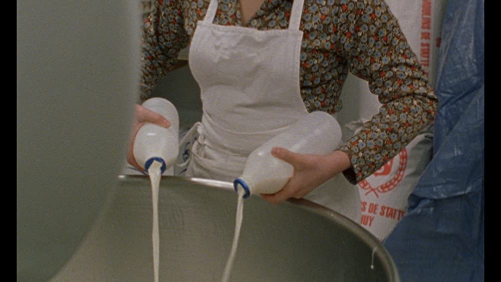 ロゼッタの画像