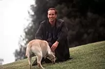 シティ・オブ・エンジェルの画像