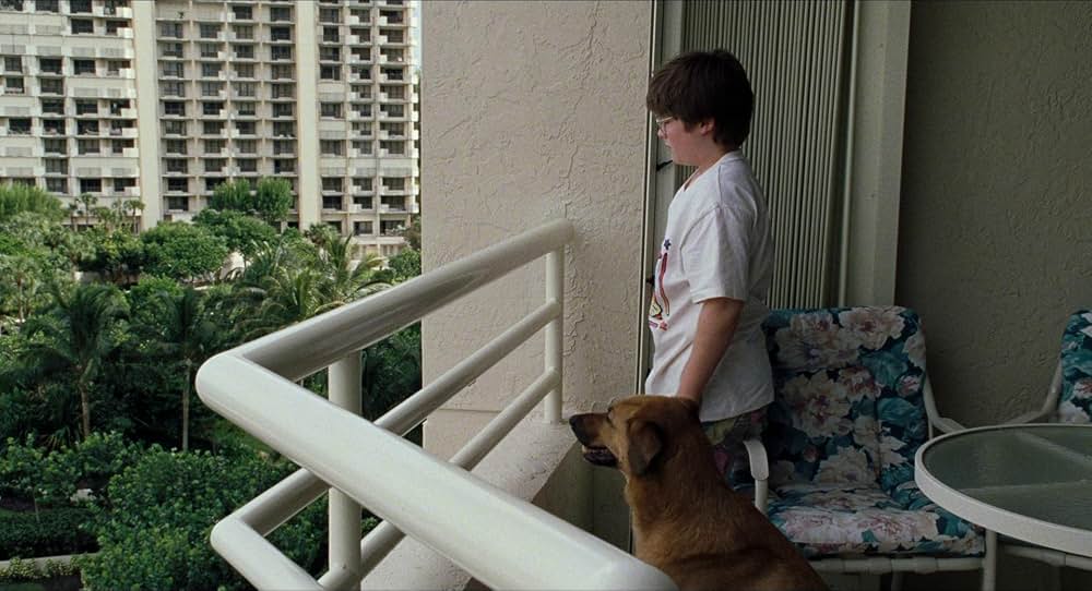 ハピネスの画像