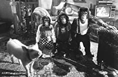 ベイブ／都会へ行くの画像