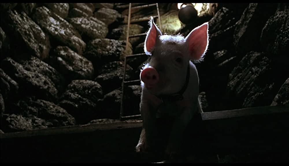 ベイブ／都会へ行くの画像